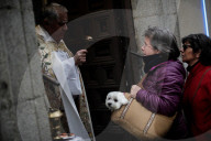 FEATURE - Tiere werden in Madrid gesegnet