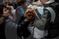 FEATURE - Tiere werden in Madrid gesegnet