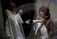 FEATURE - Tiere werden in Madrid gesegnet