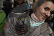FEATURE - Tiere werden in Madrid gesegnet