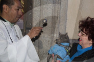 FEATURE - Tiere werden in Madrid gesegnet