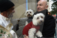 FEATURE - Tiere werden in Madrid gesegnet