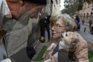 FEATURE - Tiere werden in Madrid gesegnet