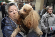 FEATURE - Tiere werden in Madrid gesegnet