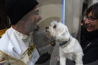 FEATURE - Tiere werden in Madrid gesegnet