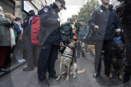 FEATURE - Tiere werden in Madrid gesegnet