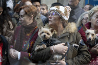 FEATURE - Tiere werden in Madrid gesegnet