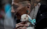 FEATURE - Tiere werden in Madrid gesegnet
