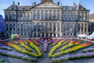 FEATURE - Pix of the Day: Bilder des Tages