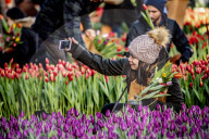 FEATURE - Pix of the Day: Bilder des Tages