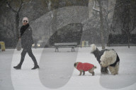 FEATURE - Pix of the Day: Bilder des Tages