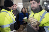NEWS - Shutdown in den USA: Nancy Pelosi verteilt Essen an Bedürftige in Washington