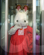 FEATURE - Toy Fair in Kensington