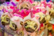 FEATURE - Toy Fair in Kensington