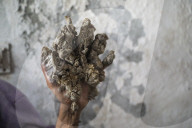 FEATURE - Bangladesch: Der 'Tree Man'