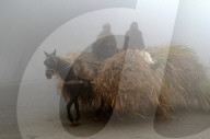 FEATURE - Pix of the Day: Bilder des Tages