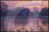 FEATURE - Pix of the Day: Bilder des Tages