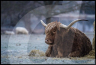 FEATURE - Pix of the Day: Bilder des Tages