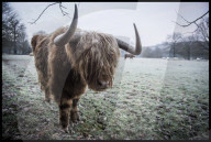 FEATURE - Pix of the Day: Bilder des Tages