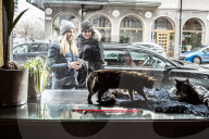 FEATURE - Katzenkaffee in Stockholm