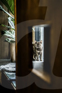 FEATURE - Katzenkaffee in Stockholm