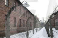 NEWS - Vor 74 Jahren wurde das Konzentrationslager Auschwitz befreit