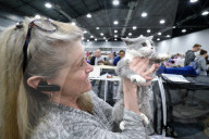 FEATURE - Katzen Ausstellung in Portland