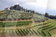PORTRAIT - Renzo Rosso posiert auf der Diesel Farm im Veneto