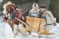FEATURE - Pix of the Day: Bilder des Tages