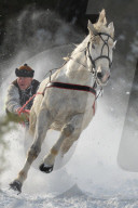 FEATURE - Pix of the Day: Bilder des Tages