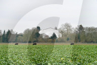PEOPLE - Meghan und Harry: Renovationsarbeiten am Frogmore House