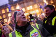 NEWS - London: Brexit Proteste vor dem Houses of Parliament