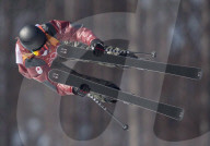 FEATURE - Pix of the Day: Bilder des Tages