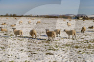 NEWS - Winterwetter in Mitteleuropa