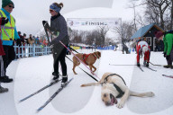 FEATURE - Pix of the Day: Bilder des Tages