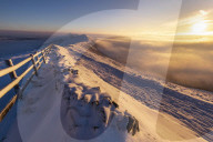 FEATURE - Pix of the Day: Bilder des Tages