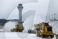 FEATURE - Pix of the Day: Bilder des Tages