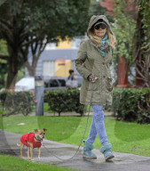 EXKLUSIV - Bond Girl Britt Ekland geht mit ihrem Hund Gassi