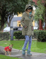 EXKLUSIV - Bond Girl Britt Ekland geht mit ihrem Hund Gassi