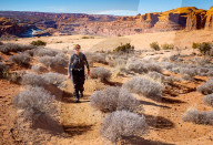 FEATURE - Pix of the Day: Bilder des Tags