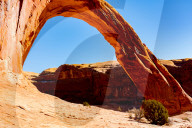 FEATURE - Pix of the Day: Bilder des Tags