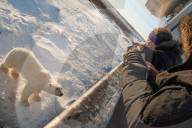 FEATURE - Es gibt ihn wirklich: The Real Polar Express