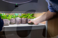 FEATURE - Der rotierende Indoor Garten für zu Hause