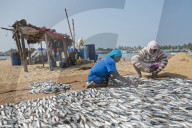 REPORTAGE - Sri Lanka