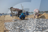 REPORTAGE - Sri Lanka