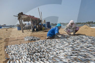 REPORTAGE - Sri Lanka