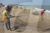 REPORTAGE - Sri Lanka