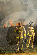 FEATURE - Heisser Februartag: Flächenbrand im Forstgebiet Ashdown