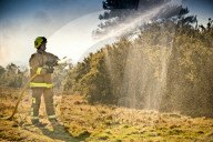 FEATURE - Heisser Februartag: Flächenbrand im Forstgebiet Ashdown