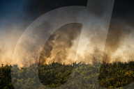 FEATURE - Heisser Februartag: Flächenbrand im Forstgebiet Ashdown